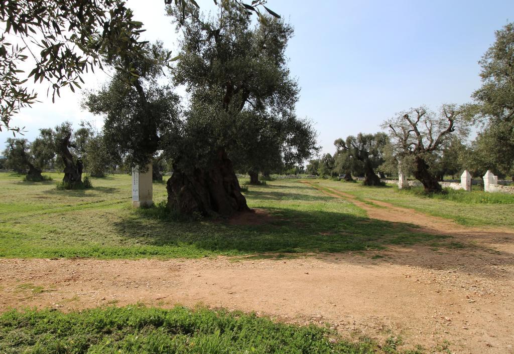 Masseria Brancati Ostuni Exterior photo